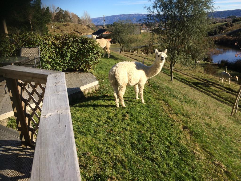 Hunters Moon Vila Mosgiel Exterior foto